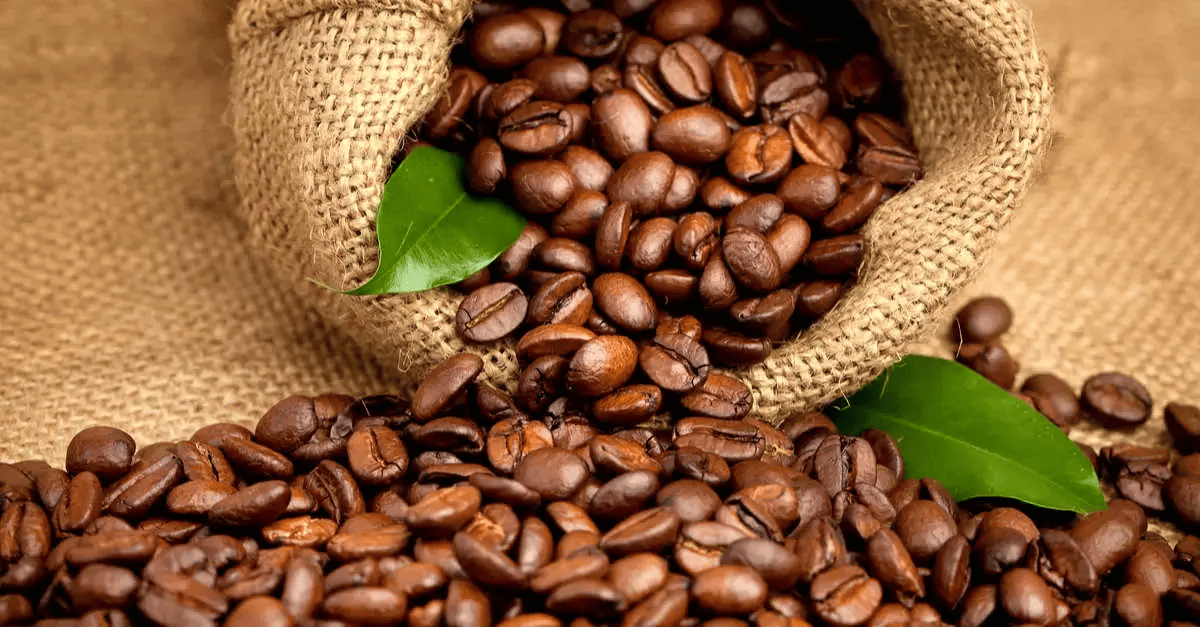 Image du grain deEspresso