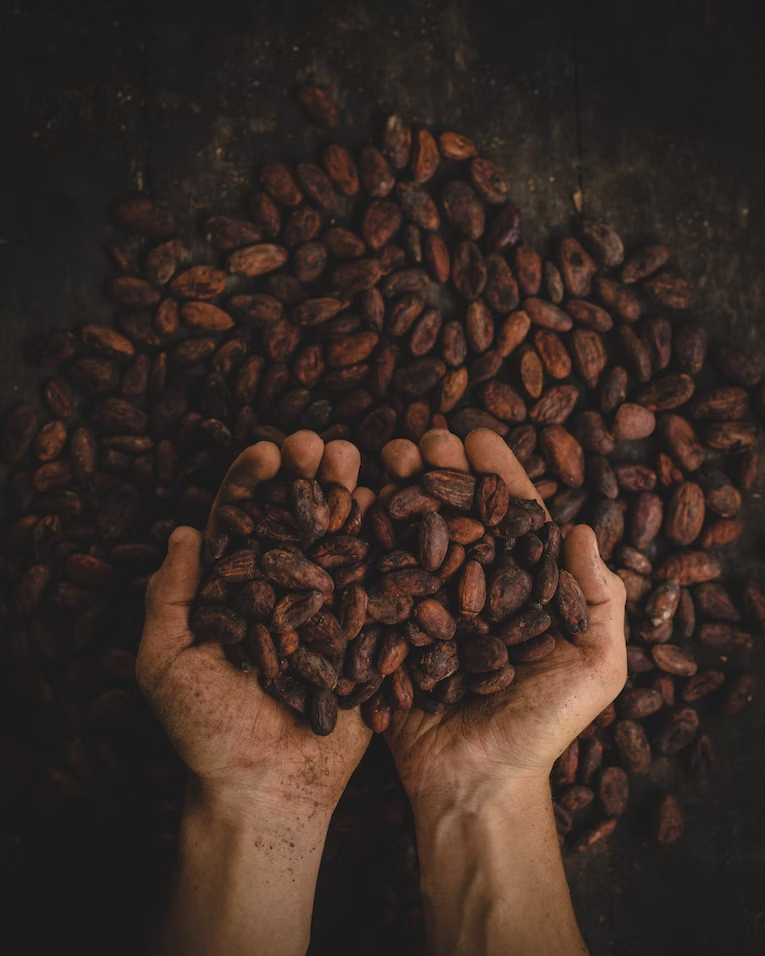 Image du grain deEthiopian Yirgacheffe
