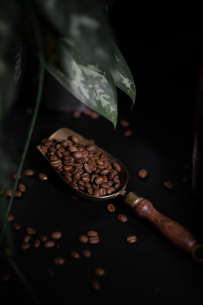 Image du grain deTanzanian Peaberry